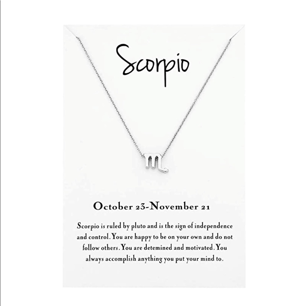 Scorpio Silver Zodiac Necklace ♏️